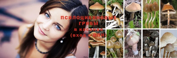 эйфоретик Киреевск