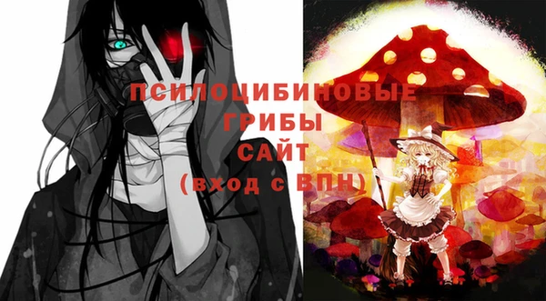 СК Кинешма