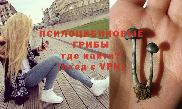 амф Киренск