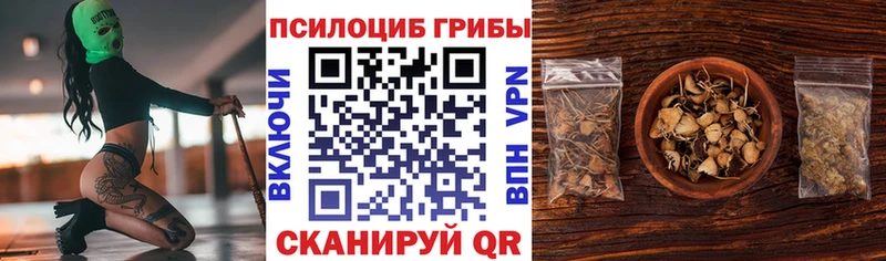 Галлюциногенные грибы Cubensis  Купить закладки  Абакан 